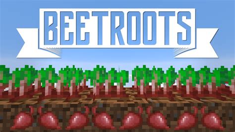 What does beetroot do in minecraft