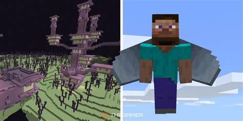 What does elytra do in minecraft