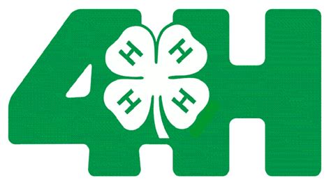 What programs does 4h offer?