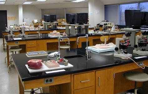 whats a lab practical