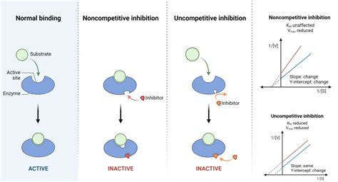 Unveiling the Key Differences: Noncompetitive vs Uncompetitive Sectors