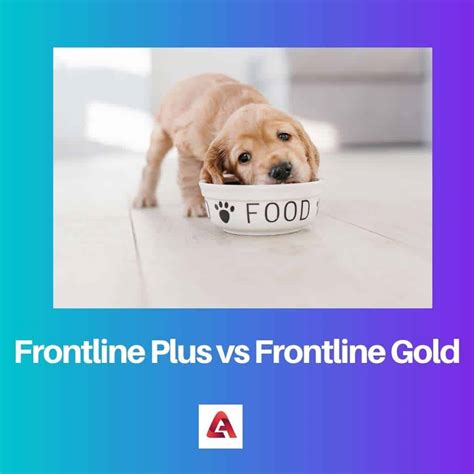 Frontline Plus vs. Frontline Gold for Dogs Which One is Better