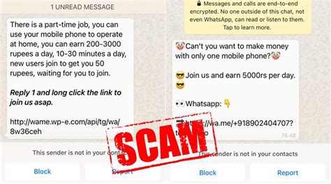 whatsapp business account scam
