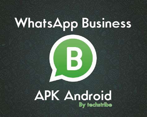 whatsapp business apk new version download