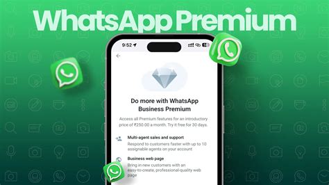 whatsapp business premium brasil