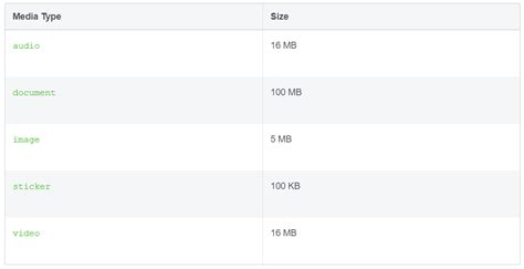 WhatsApp Max File Size