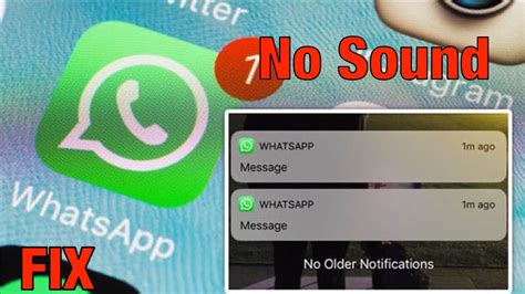 whatsapp video no sound