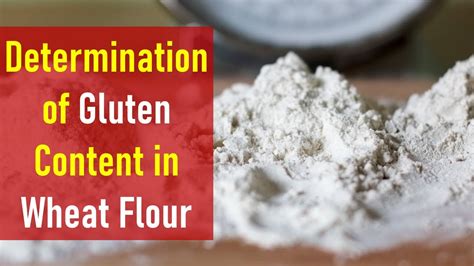 Wheat Flour Gluten Test