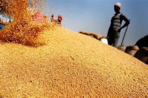 wheat price in bangladesh