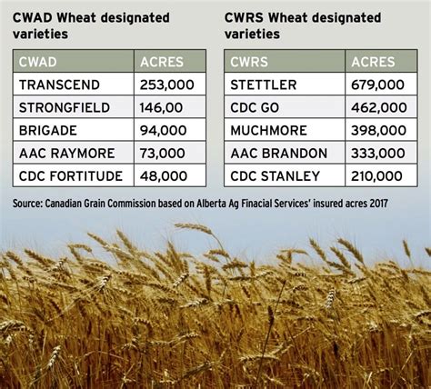 Wheat Variety 2019