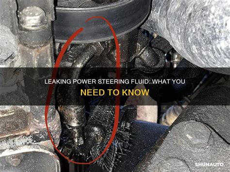 Wheel Alignment Steering Fluid Leak