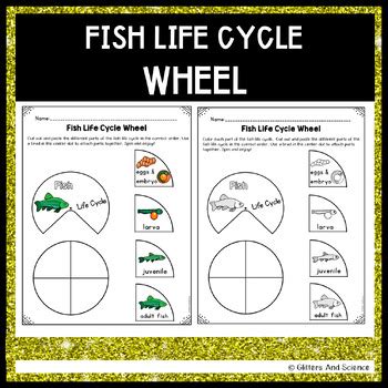 Wheel Fish Definition