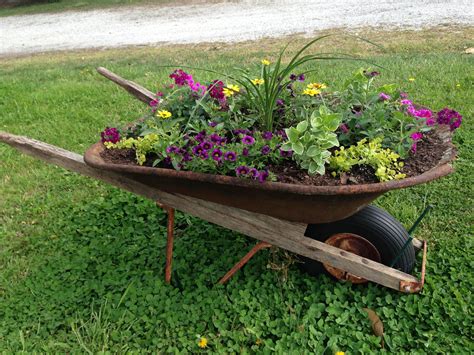 Old wheelbarrow & spray paint & a few plants and I have new flower bed