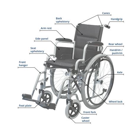Wheelchair Guide