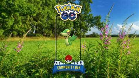 Snivy Community Day Service Pokemon GO Account Service