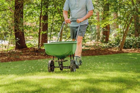 The Tips You Require To Know When To Fertilize Lawn. *** More info