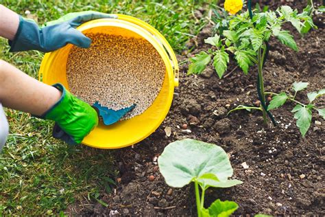 Garden Fertilizer Types + When & How to Fertilize Garden Design