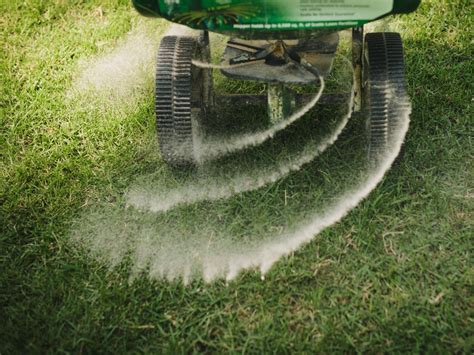 When To Fertilize Lawn Indiana