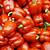 when to pick cajun bell peppers