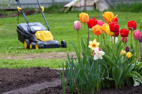 8 Spring Lawn Care Tips The Essential Guide for Beginners