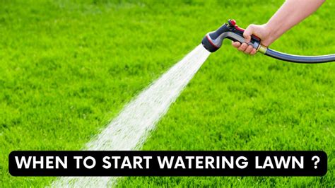 How much should you water your lawn? Texas A&M website