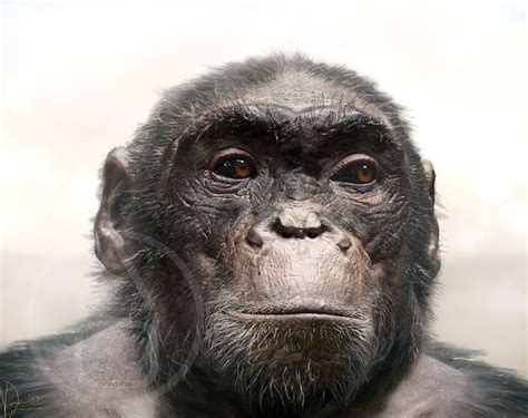 when did ardipithecus ramidus live