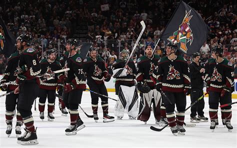 when did arizona coyotes start