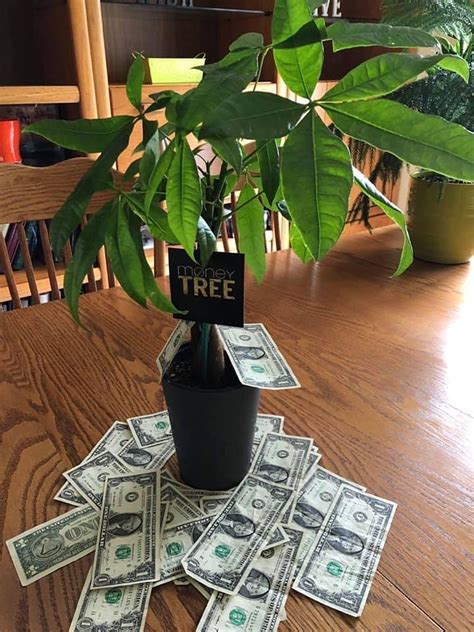 when did money trees come out
