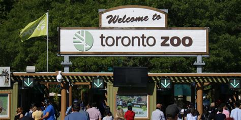 when did the toronto zoo open