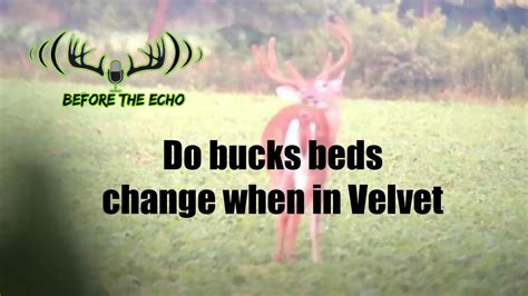 When Do Bucks Change Patterns