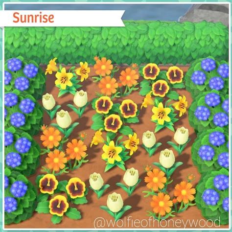 When Do Hydrangeas Bloom In Acnh