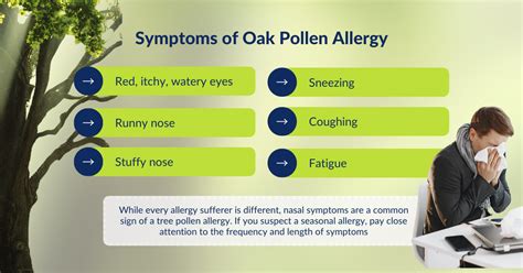 When Do Oak Trees Cause Allergies