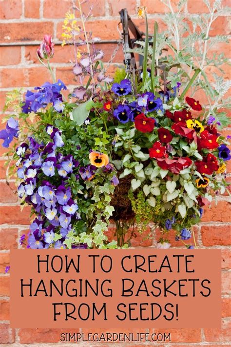 When Do You Start Hanging Baskets