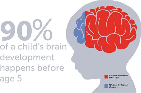 when does a child's brain develop
