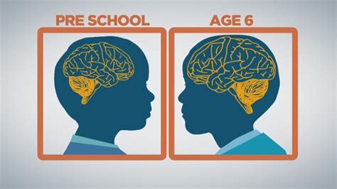 when does a child's mind stop developing