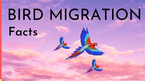 when does bird migration begin