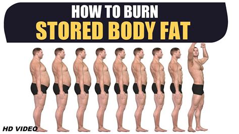 When Does Body Burn Stored Fat