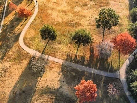 When Does Fall Start In Dallas Texas