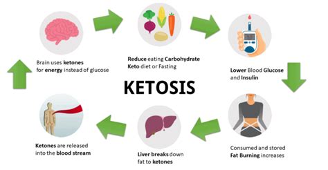 When Does Ketosis Start In Fasting