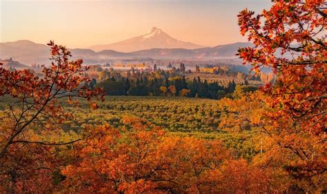 when does oregon state start fall 2023