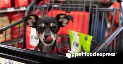 When Does Pet Food Express Close