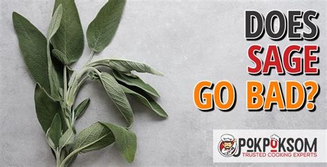 When Does Sage Go Bad