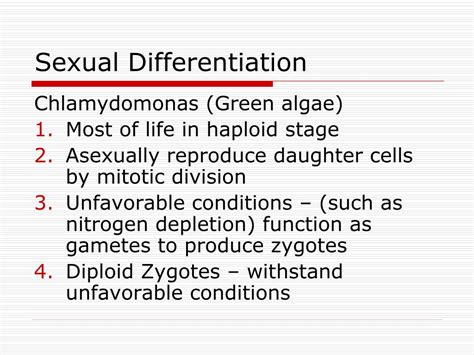 when does sexual differentiation occur