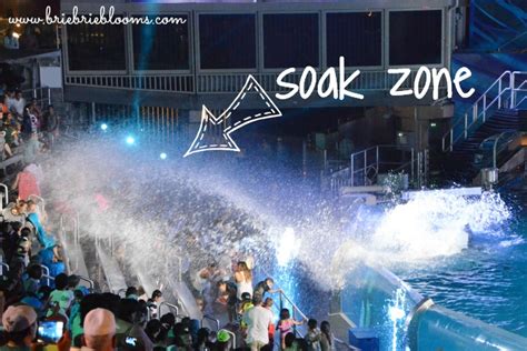 When Does Soak Zone Close Today