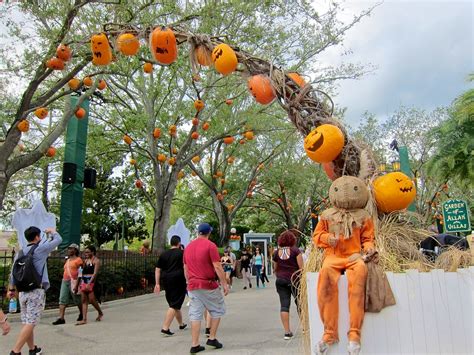 When Does Universal Start Decorating For Halloween