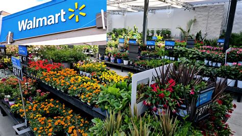 When Does Walmart Clearance Plants