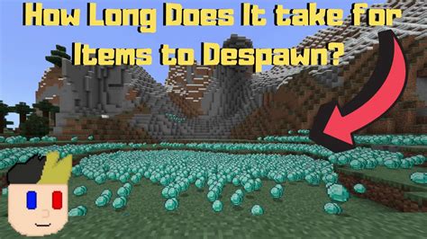 When Does Your Stuff Despawn In Minecraft