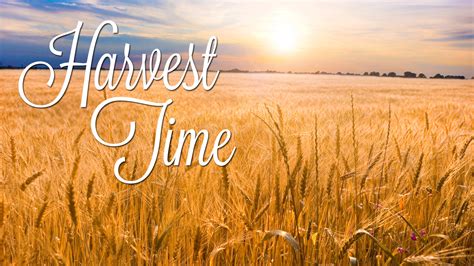 when is harvest time