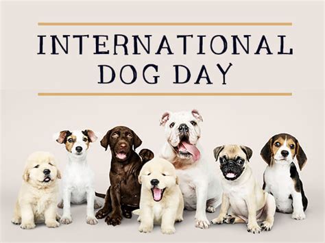 when is international puppy day