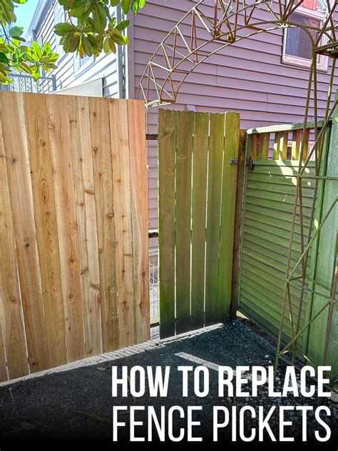 When Is It Time To Replace Fence